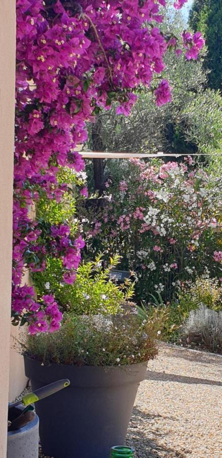 La Bastide Aux Oliviers Hotel Tourrettes-sur-Loup Luaran gambar