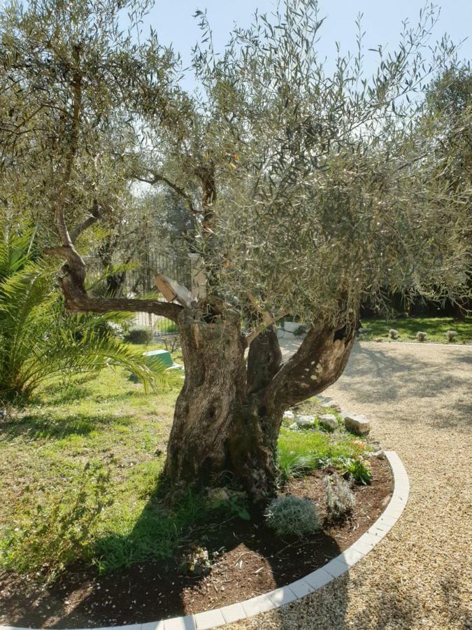 La Bastide Aux Oliviers Hotel Tourrettes-sur-Loup Luaran gambar